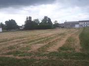 Burie Vente Terrain 17