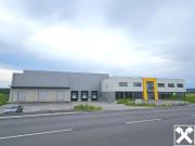 Büro im 1. OG zur Vermietung 4030 Linz Im Südpark 176