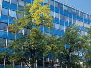 Büro mit direktem Gartenzugang Nähe Ernst Reuter Platz