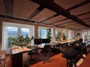 Büro mit Top Aussicht und Garten – ideal für ungestörtes...