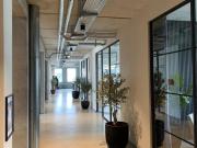 Büro zur Untermiete voll ausgestattet & ready to work