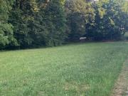 Büros Steiermark 8302 DS98516292