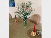 Buscamos Rommie en Provi