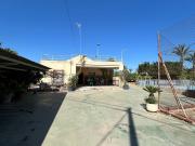 BUSCAS UN CAMPO A 2 MINUTOS DE ELCHE ?