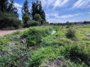 ¿Buscas una oportunidad real para vivir rodeado de...