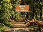 BUSSAC FORET TERRAIN NON CONSTRUCTIBLE