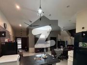 Well Maintained One Unit House Available For Rent...