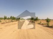 Buy a plot for farmhouse & cattlefarm with 1 year easy... Buy a plot for farmhouse & cattlefarm with 1 year easy...