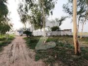 Buy A Prime Location Farm House Of 5 Kanal In Kala...