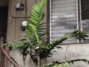 Buy, Fix, Get Profit With This Kapitolyo Property Along...