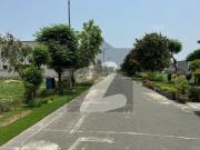 Buying A Residential Plot In DHA Phase 7 Block U Lahore?