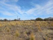 C018MC Campo en venta de 30000m2 ubicado en MINA CLAVERO