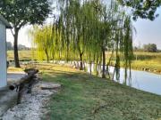 C031. CARPI CAMPAGNA. TERRENO AGRICOLO CON LAGETTO E...