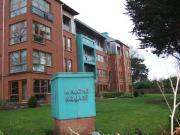 C2 Cypress, Malone Square