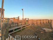 CAÃUELAS 11 HA SOBRE RUTA 3 KM 84,5