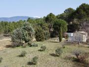 Cabanon à rénover sur 1,5 hectare de nature à Mormoiron