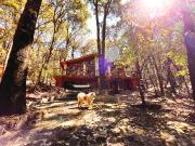 CABAÑA AUTÓNOMA EN AMEALCO DE BONFIL EN VENTA