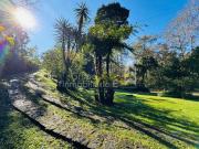 Cabaña con amplio terreno en Coatepec