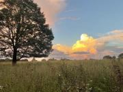Cabaña en venta en la sierra de Durango