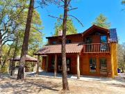 CABAÑA EN VENTA EN LA SIERRA DE DURANGO