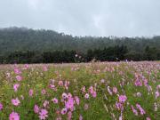 cabaña en venta valle de bravo