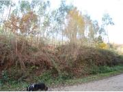 CABAÑA INDEPENDIENTE CON TERRENO EN RUENTE