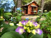 CABAÑAS AMOBLADAS AÑO CORRIDO MOLCO