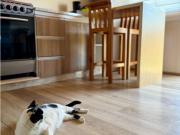 Cabañas en San Carlos, El tabo. Cesión de derechos...