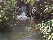 Cachoeira das crianças Cachoeira das crianças