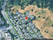 Cactus, WALNUT CREEK, CA 94595 Cactus, WALNUT CREEK, CA 94595