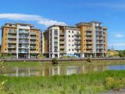 Caelum Drive, Colchester CO2, 2 bed flat to rent, £1,275...