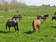 Caen 14000 Achat / Vente divers