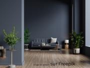 Caen rive gauche Duplex Terrasse