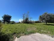 Cagnes sur Mer 06800 Achat / Vente terrain
