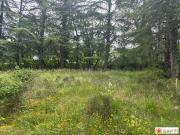 Cahors Midi Pyrénées 46000 LS89393023