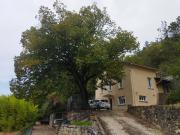 Cahors Vente Maison 46