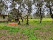 Calabria Palmi Ciambra terreno 500 mq mare