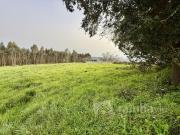 Caldas da Rainha Caldas da Rainha 100015397