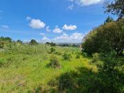 Caldas da Rainha Caldas da Rainha 93203491