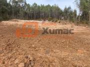 Caldas da Rainha Caldas da Rainha 94935069