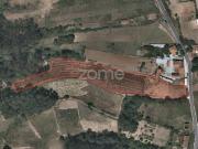 Caldas da Rainha Caldas da Rainha 96463025