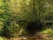 Caldwell Rd Lot Tractc, Blacksburg, SC 29702