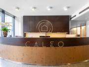 CALEO ¦ Altstadt ¦ Max 13 ¦ flexibel + sofort...