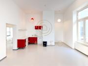 CALEO ¦ Gallus ¦ 110 m² 465 m² ¦ ab EUR 12,00/m² ¦...