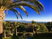 CALIFORNIE PALMIERS, MER ET MONTAGNES ENNEIGÉES