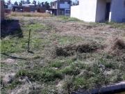 Calle 529 bis entre 151 y 152 Terreno San Carlos...