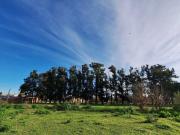 Calle 609 y 117 Terrenos en Villa Elvira