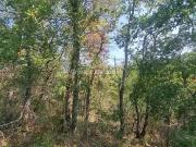Callian 83440 Achat / Vente terrain