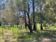 CALLING ALL GOLFERS! OVERLOOKING THE GOLF COURSE! CALLING ALL GOLFERS! OVERLOOKING THE GOLF COURSE!