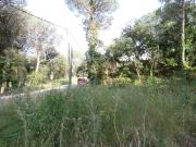CALONGE: Parcela 626 m2. MUY LLANA en Urb.Mas Pere, CON...